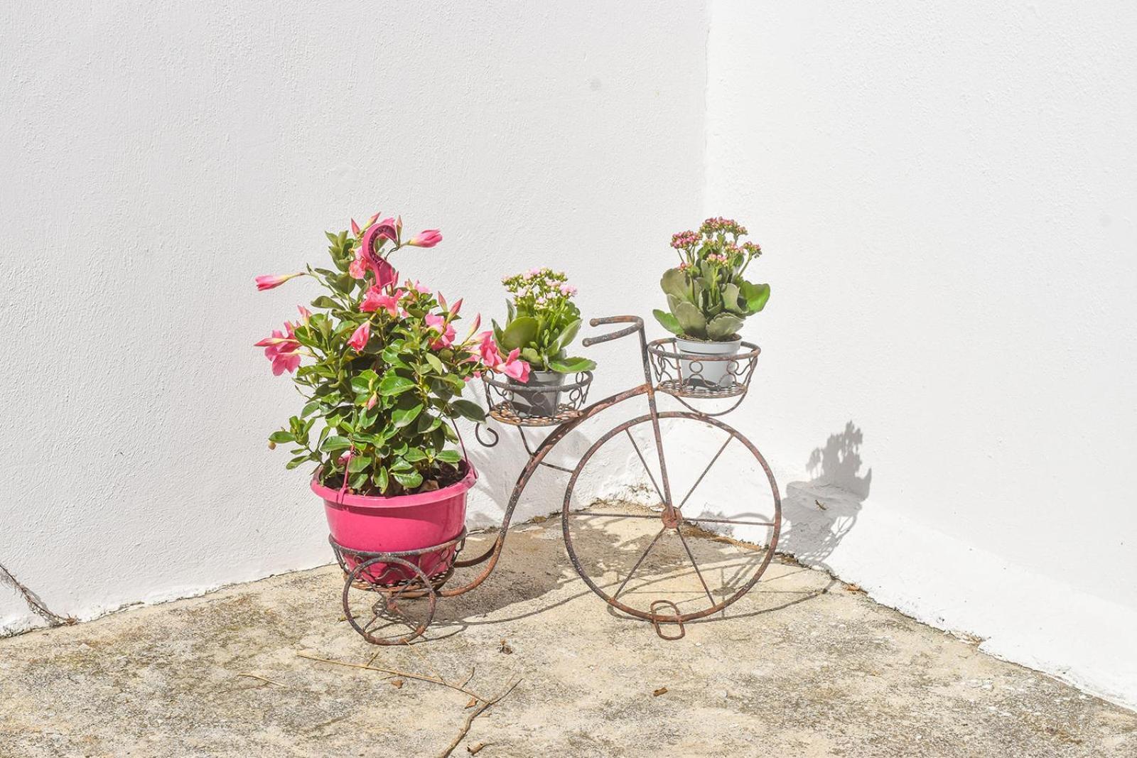 Ktima Holiday House İskados Dış mekan fotoğraf